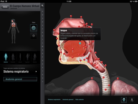 El Cuerpo Humano Virtual screenshot 3