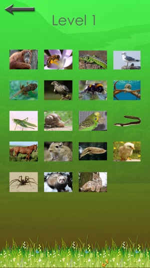 Animal Quiz - Which animal is that?(圖3)-速報App