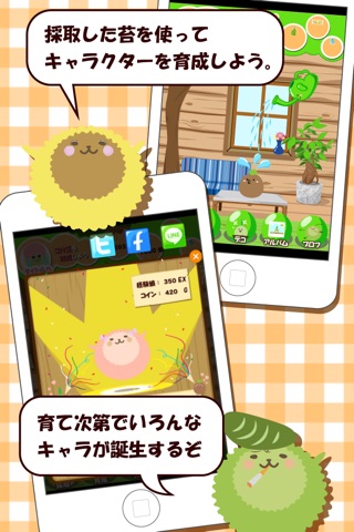 こけお〜苔を育成してデコるけどね〜 screenshot 3