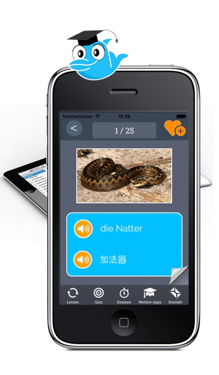Learn Chinese and German Vocabulary: Practice orthography and pronunciation screenshot-0