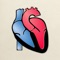 HeartCharts…illustrating heart structure and function in health and disease