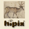 hipix Art Initiative