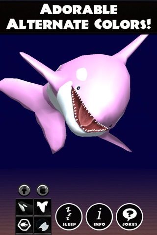 Virtual Pet Orca - The Killer Whale screenshot 3