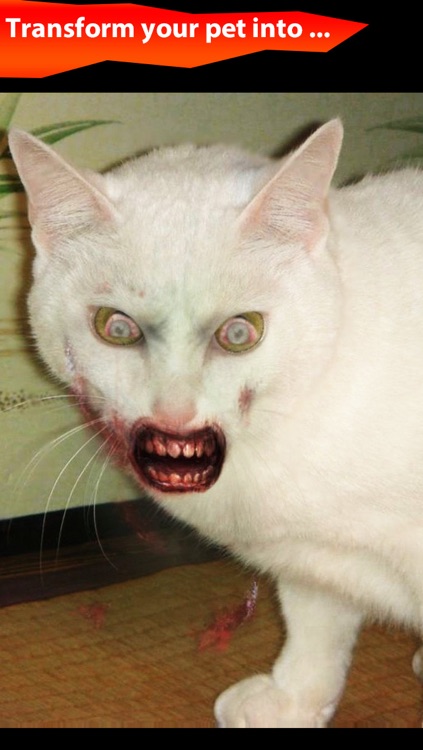 ZombieBooth: 3D Zombifier screenshot-4