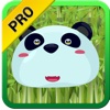 Panda Puzzle Maze Action Game PRO