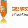 TRIBEFOREX