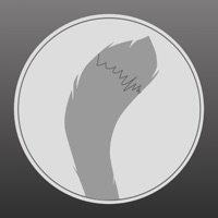 CoinApp - Tie-breaking Bliss pour PC