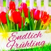Frühlings-Gedichte - Gedichte, die Lust auf Frühling und Garten machen