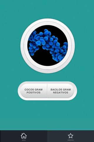 Antibiograma for iPhone screenshot 2