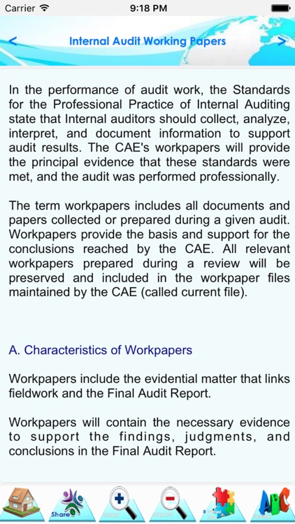 Internal Audit Manual & Process screenshot-4