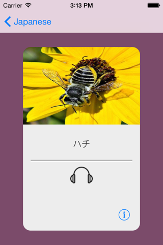 Learning Japanese Basic 400 Words screenshot 4