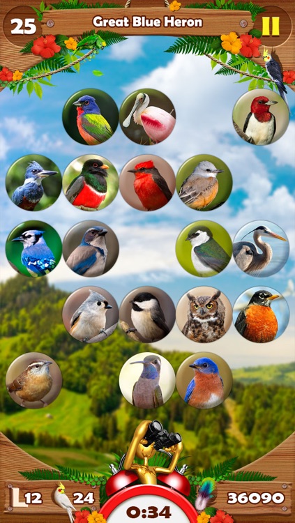 Bird Matching screenshot-3