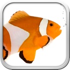 Top 30 Games Apps Like Fish the Fishes - Best Alternatives