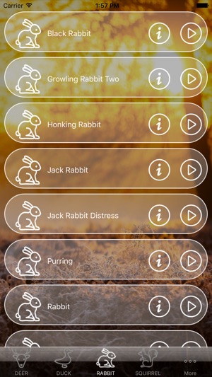 Hunting Calls Free - All in One(圖1)-速報App