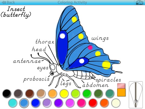 Animals and Plants - Montessori Coloring Activities screenshot 4