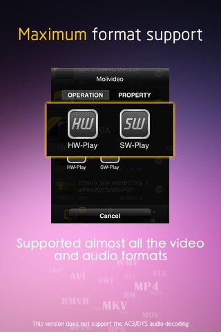 Moli-Player Pro - video & music media player for iPhone/iPod with AVI/MKV/MP3/DLNA/Samba screenshot 2