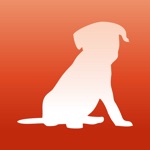 Wallfive HD Wallpapers - Cute Puppies