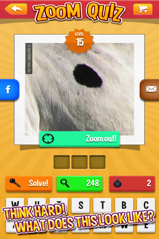 Zoom Quiz: a game of zoomed in pictures screenshot 2