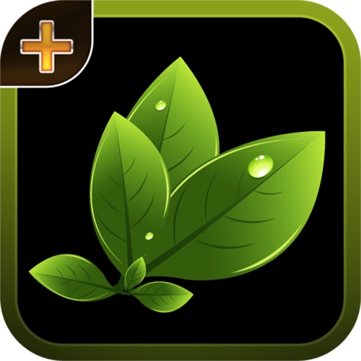 Herbal Plants & Cures icon