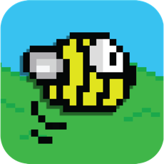 Activities of Flappy Bees