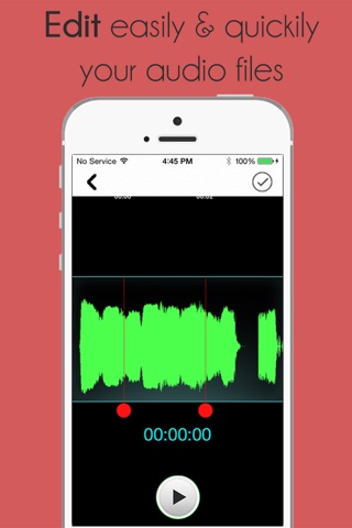 Audio Notes - Recorder, Notes, Memos, Photos screenshot 2