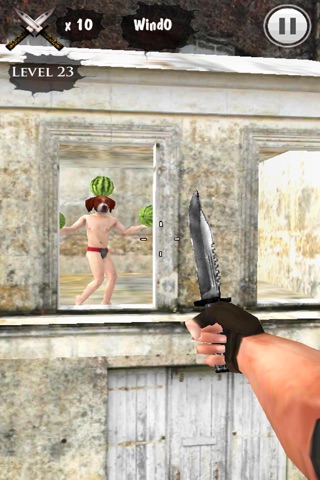 Throwing Knife King 3D Free screenshot 4