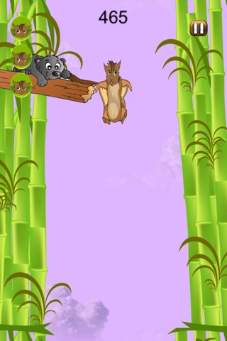 Happy Forest Free Fall FREE -  A Nuts Squirrel Dropping Simulator screenshot 2