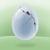 Egg Tap Crack Quest Game Pro