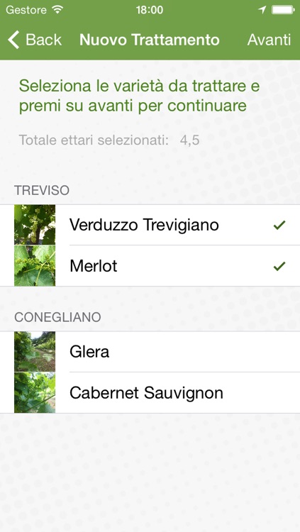 MyVigneto screenshot-4