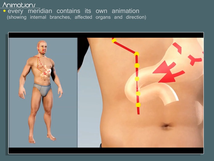 Easy Acupuncture 3D screenshot-3