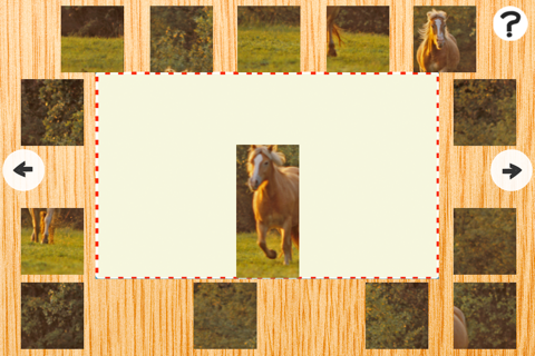 Animated Haflinger Horse-s Wood Puzzle With Beautiful Ponies - Gratis Educational Kids Game Fun For the Whole Family. Girls and Boys Learn screenshot 4