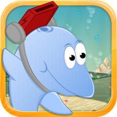 Activities of Undersea Adventures - Mega Dolphin Chase