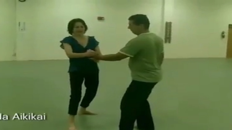 Aikido Self Defense screenshot-3