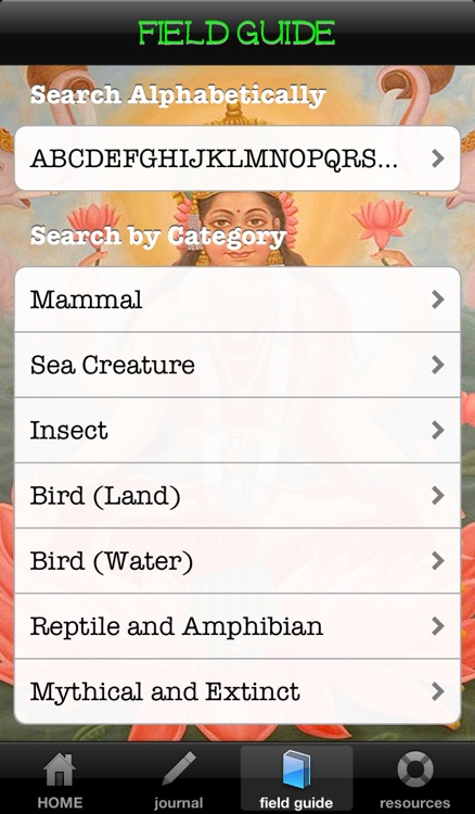 What the Walrus Knows: A Guide to Beastie Energies!
