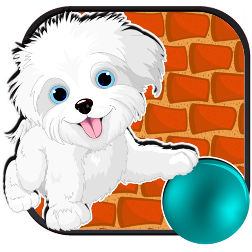 A Petit Pup Yorkie - Yorkshire Terrier Game – Free version icon