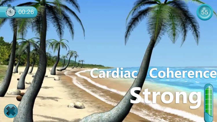 Cardiac Coherence : The Beach