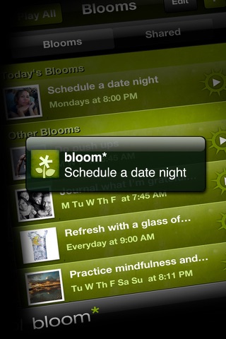 Bloom* screenshot 4