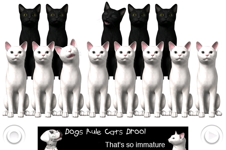 Piano Cats Free
