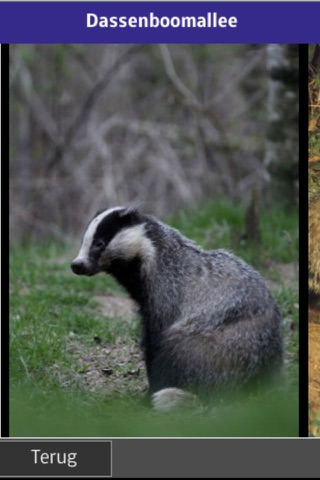 Natuurmonumenten Bergherbos screenshot 3