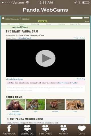 Panda WebCams screenshot 2