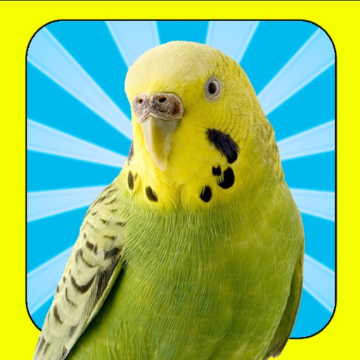 A Pet Bird icon