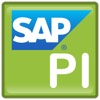 SAP PI Interview Guide