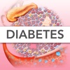 Miniatlas Diabetes