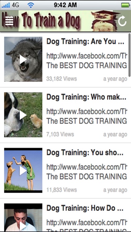 How to Train a Dog: Teach Your Dog Obedience Training!