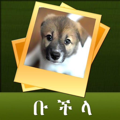 Amharic Word Game Icon