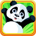 Baby Panda Dash  Bamboo Paradise Run