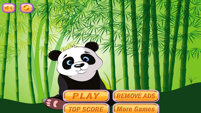 Sky Dash Baby Panda : Bamboo Paradise Ju