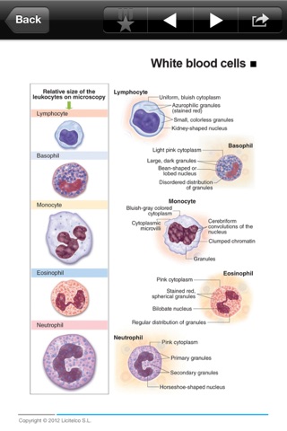 Miniatlas Hematology screenshot 2