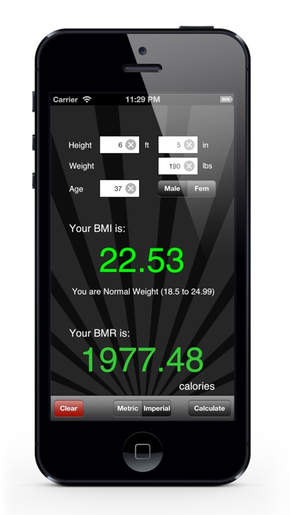 BMI / BMR Calculator