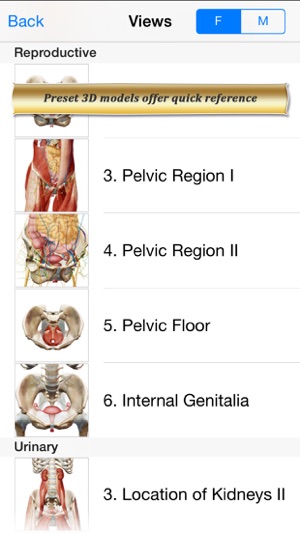 Reproductive and Urinary Anatomy Atlas: Essential Reference (圖2)-速報App